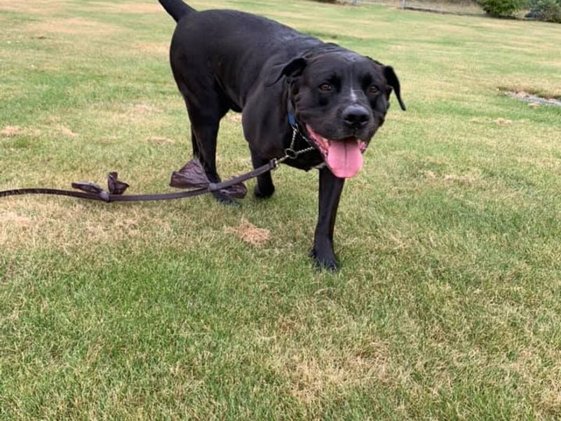 Equipment Maintenance